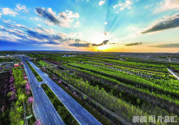 新疆之春盛中国图片