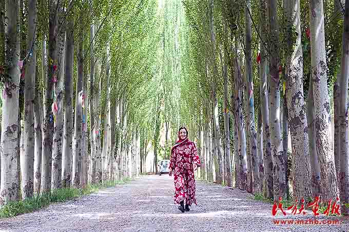 大漠与水乡的浪漫相遇 同心筑梦 第6张