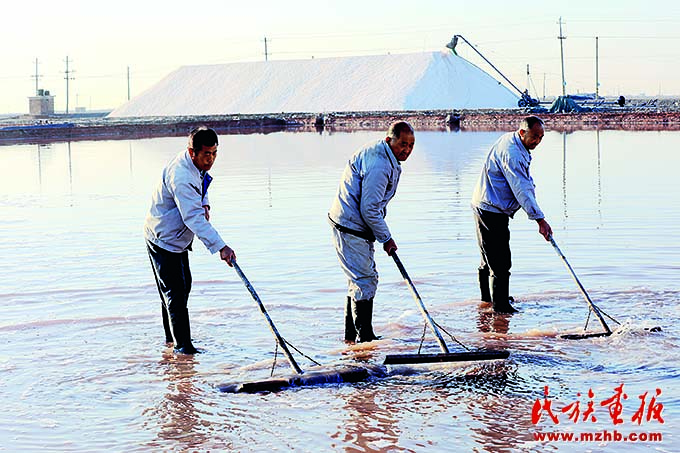 无棣：乡村振兴进行时 壮丽征程 第3张