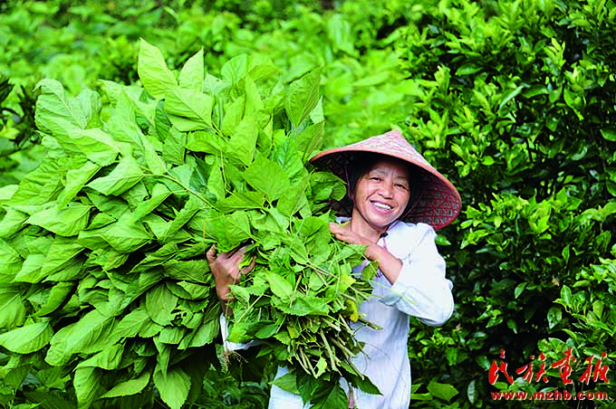 牢记嘱托 勇担使命——广西奋力建设铸牢中华民族共同体意识示范区 同心筑梦 第8张