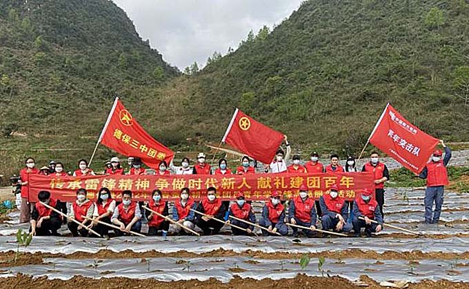 广西德保：汇聚青春力量 助力乡村振兴 图片报道 第1张