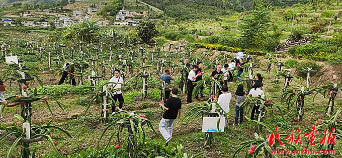 双江：掀起乡村旅游热 图片报道 第3张