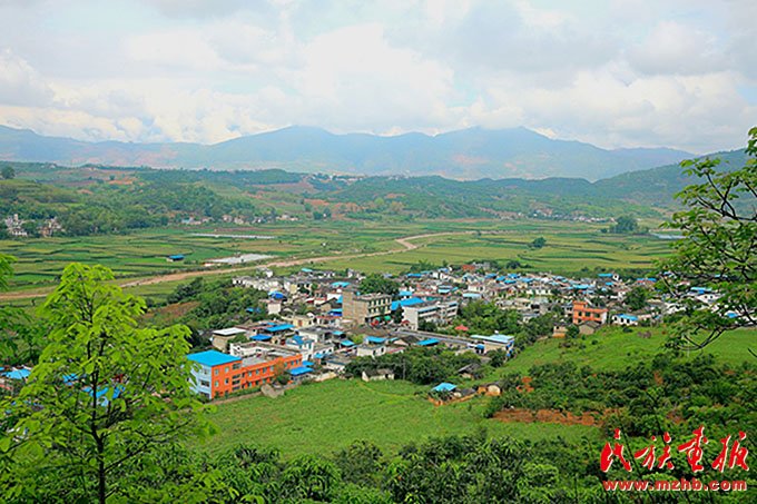 勐底农场：云岭山乡气象新 图片报道 第1张