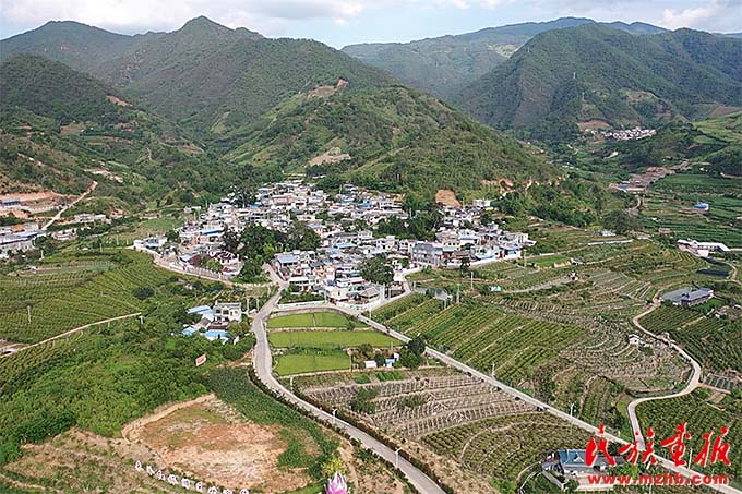 大荒田村：针绣团结花  图绘繁荣景 图片报道 第1张