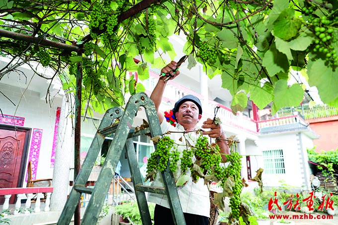 褚玉强：家和万事兴 图片报道 第2张