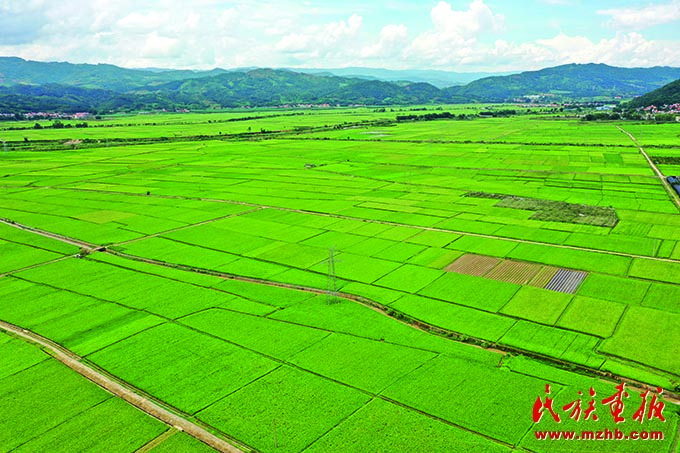 民族团结的守护者 边疆繁荣的实践者——铸牢中华民族共同体意识谱写芒市民族团结进步新篇章 图片报道 第22张