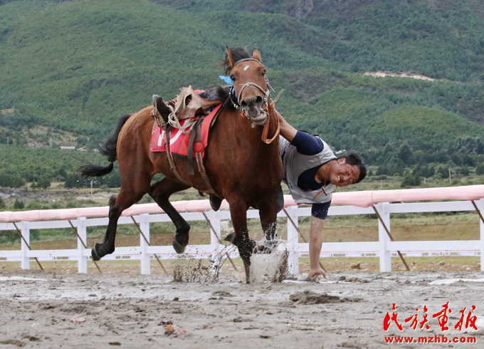 云南省第十二届少数民族传统体育运动会民族马术项目精彩瞬间 图片报道 第8张