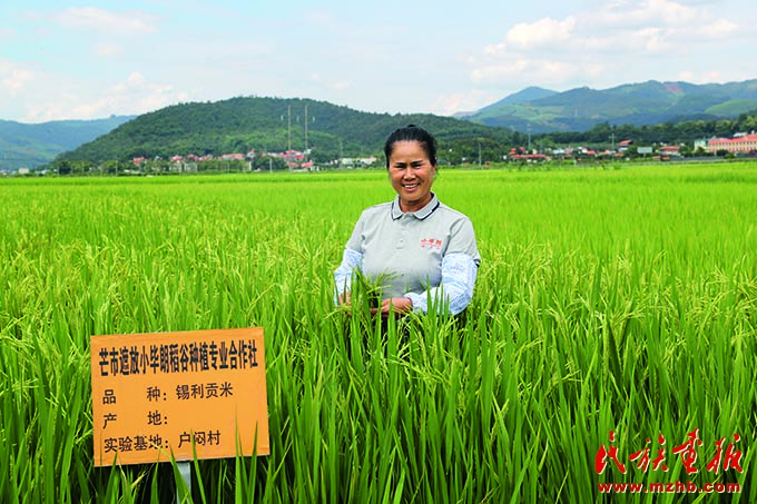 二十大代表线小晃：带领乡亲们奔跑在“希望的田野”上 中国共产党第二十次全国代表大会特别报道 第2张