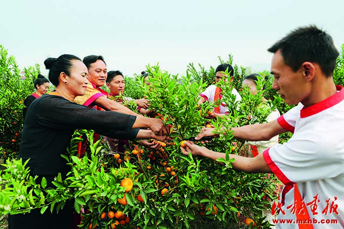 民族团结的守护者 边疆繁荣的实践者——铸牢中华民族共同体意识谱写芒市民族团结进步新篇章 图片报道 第21张