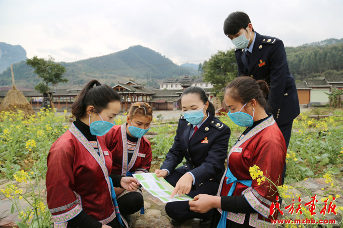 广西融水苗族自治县税务局：让“石榴籽”在大苗山上落地生根 图片报道 第4张