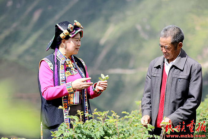 二十大代表陈望慧：让每一朵玫瑰都变成“致富花” 中国共产党第二十次全国代表大会特别报道 第4张