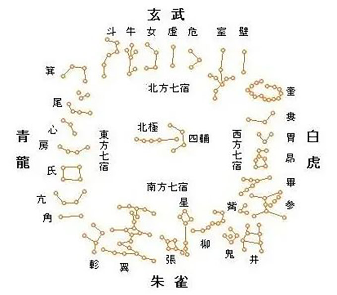 生肖有话说·卯年说兔|道中华 图片报道 第3张