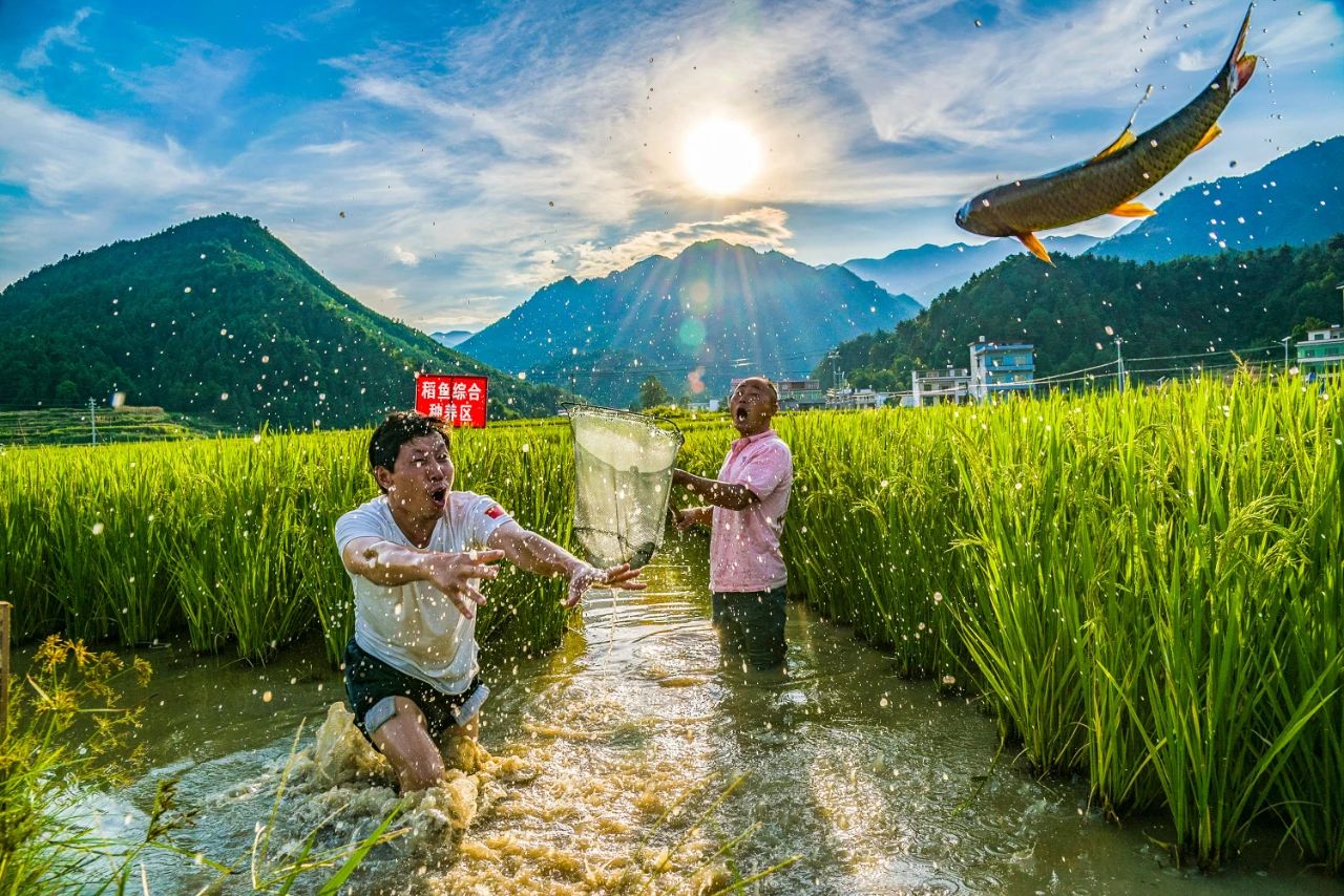 画好最大同心圆|新时代民族团结进步画卷系列之三 多彩中华 第10张