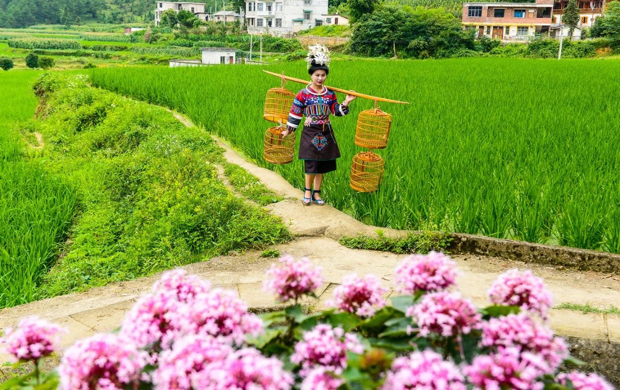 画好最大同心圆|新时代民族团结进步画卷系列之一 多彩中华 第11张