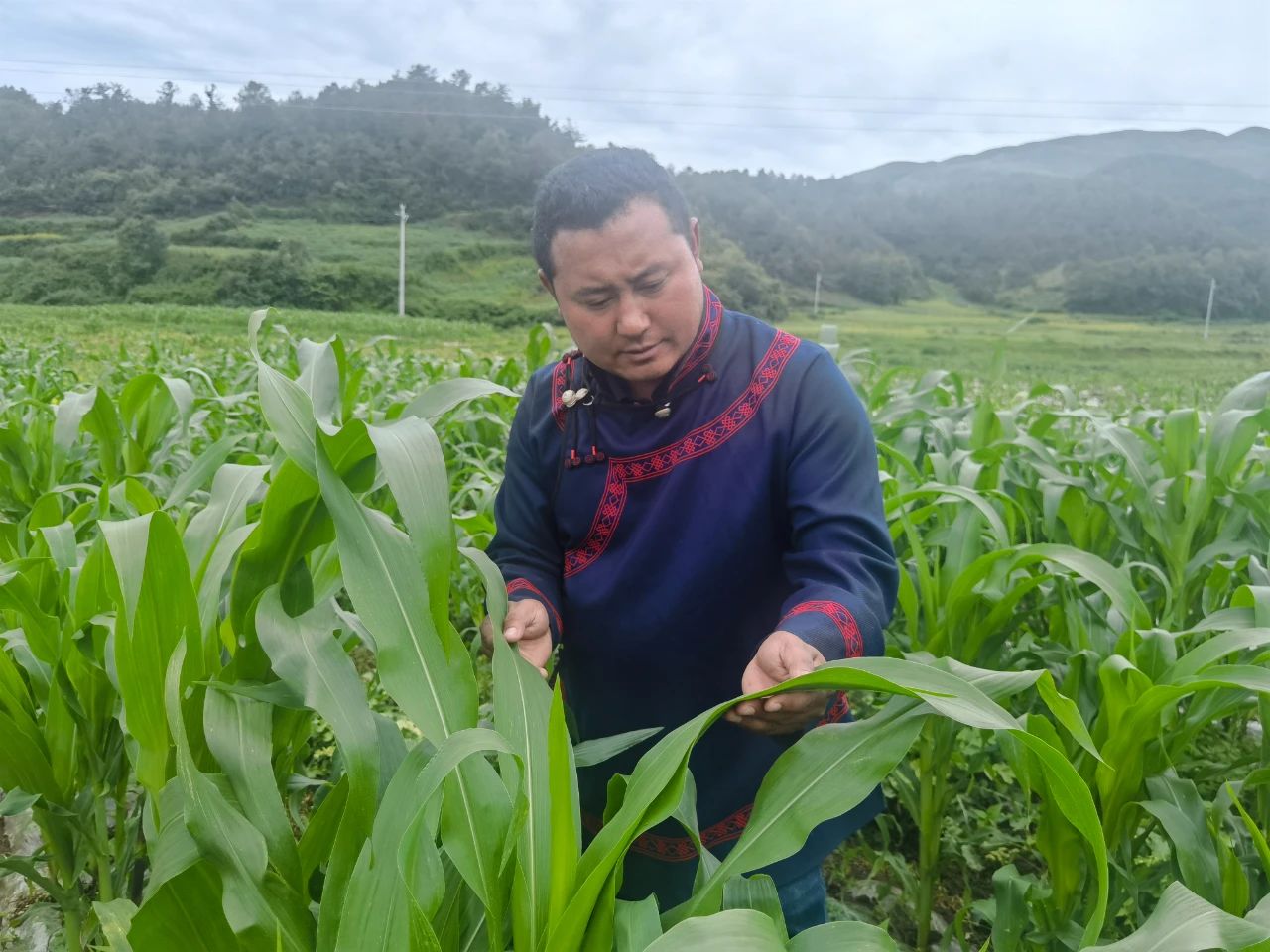 榜样的力量|洛古有格：共同富裕路上的领头雁、践行者、宣传员 同心筑梦 第3张