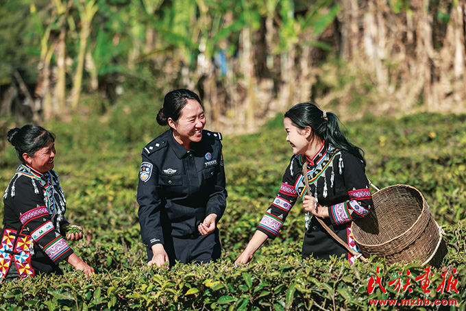 用法律保障民族团结|警民共建一家亲 齐心协力守边疆 同心筑梦 第3张